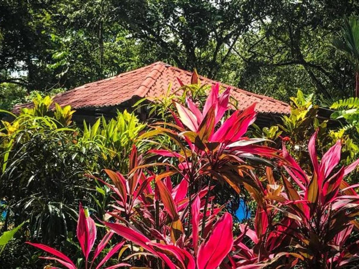 Casa Colores Монтесума Екстериор снимка